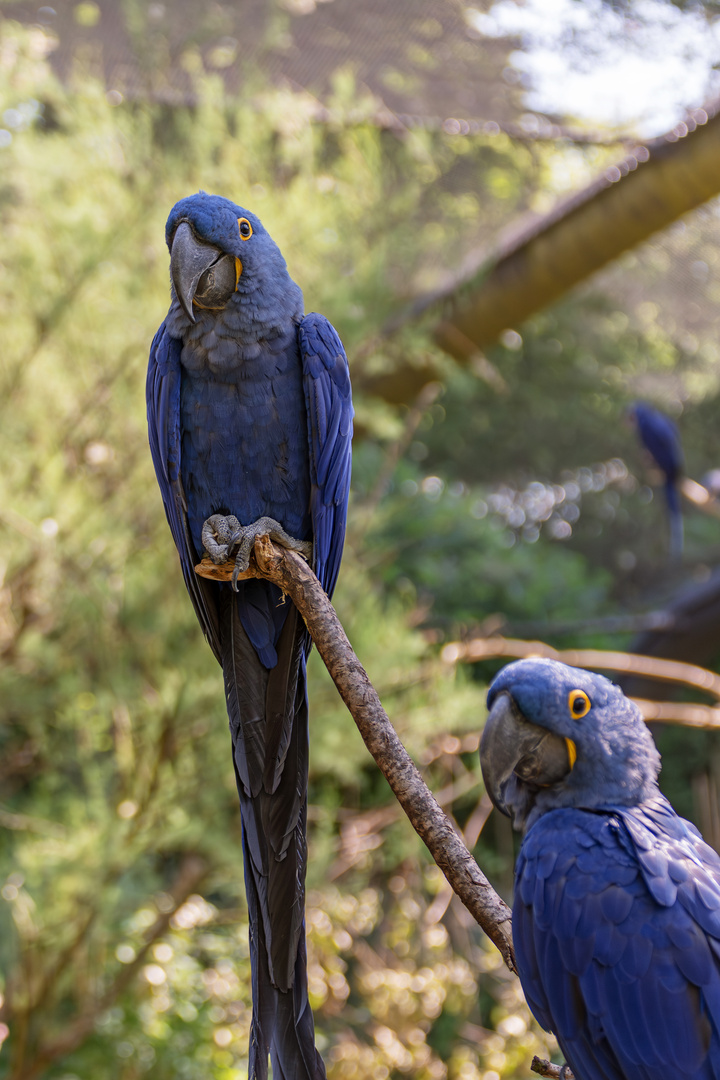  Zoo Wuppertal 