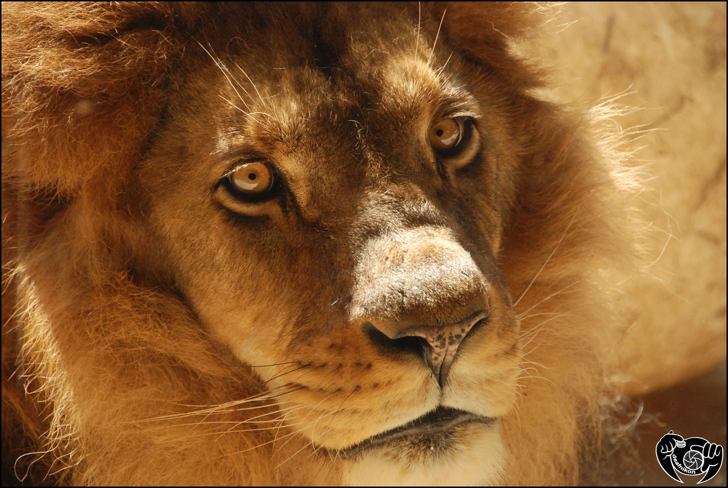 Zoo Wuppertal