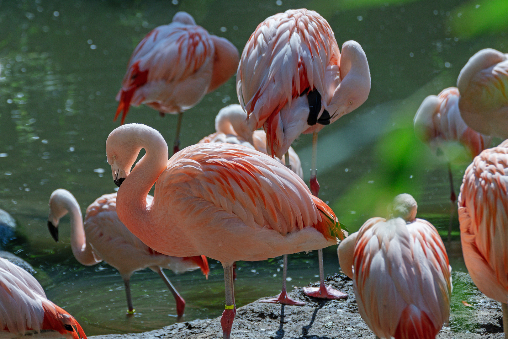 Zoo Wuppertal