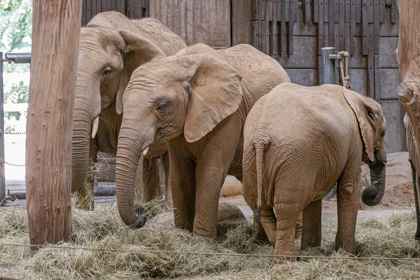 Zoo Wuppertal