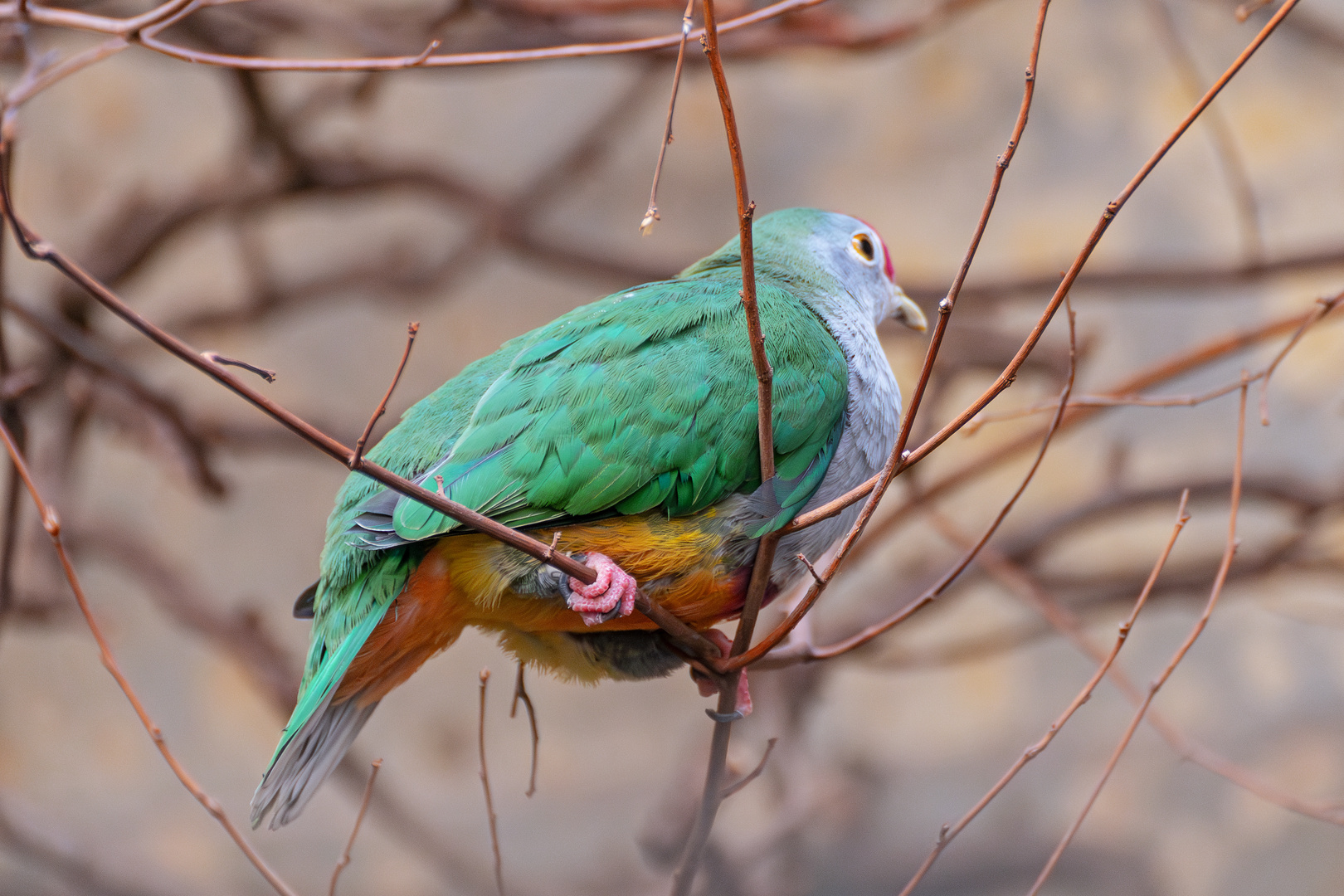 Zoo Wuppertal 