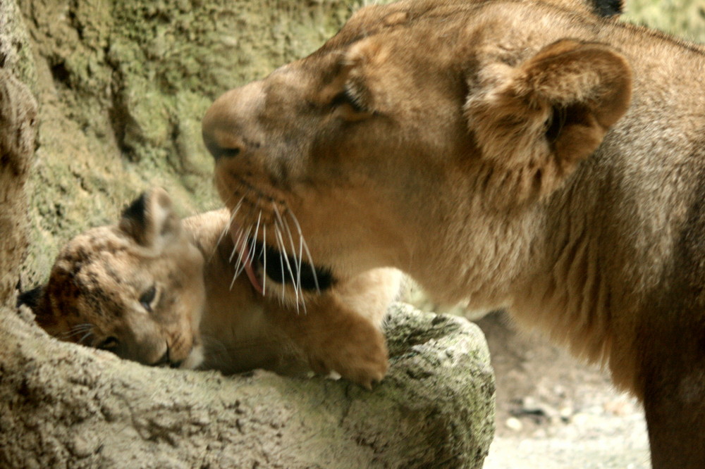 Zoo Wuppertal