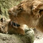 Zoo Wuppertal