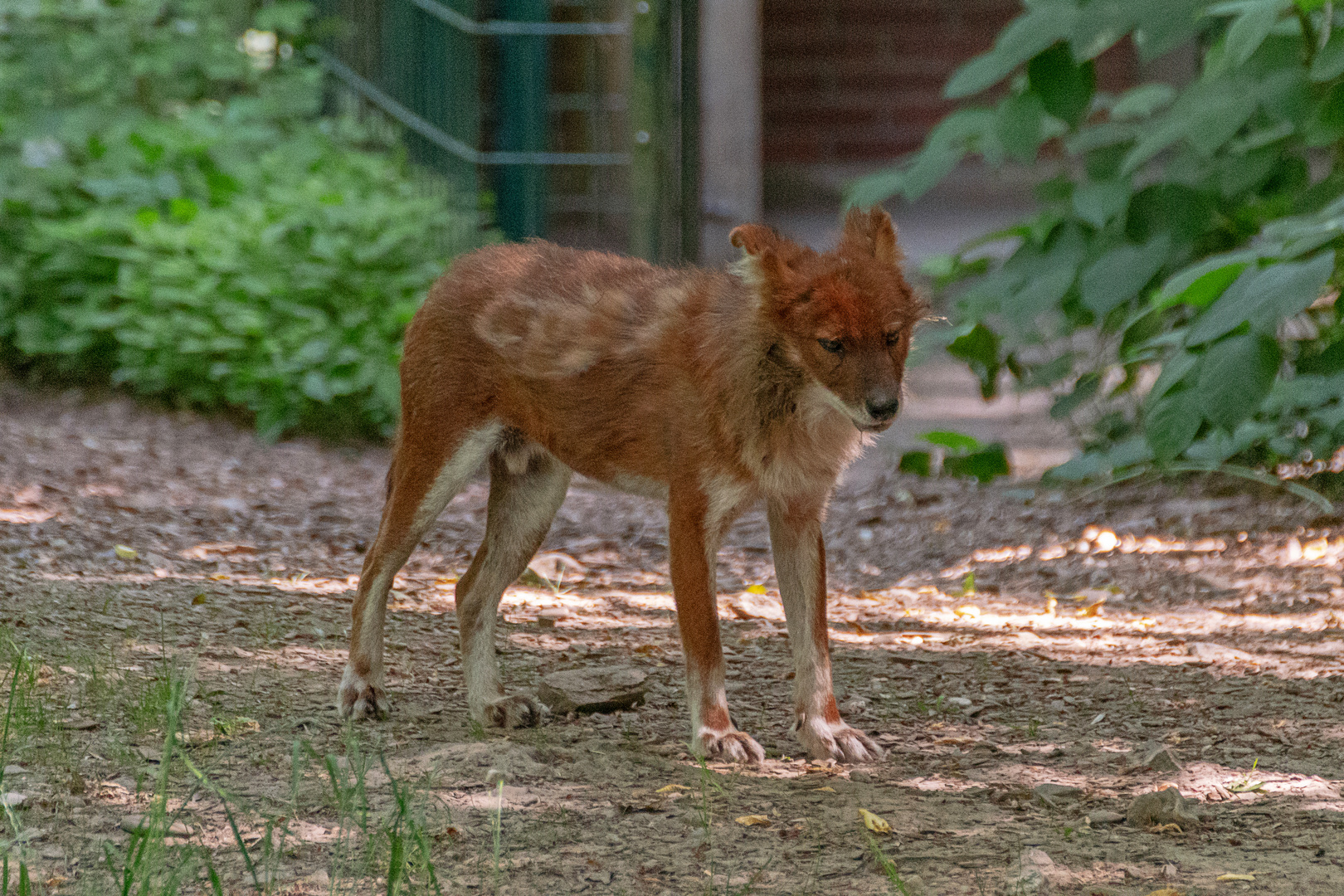 Zoo Wuppertal