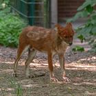 Zoo Wuppertal