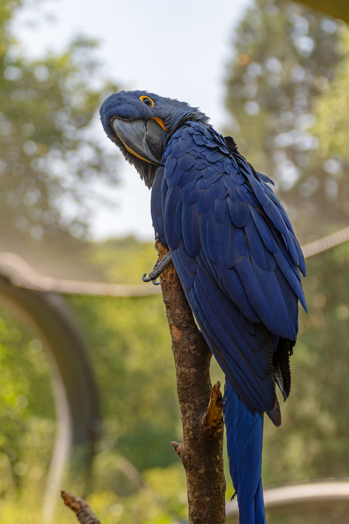  Zoo Wuppertal 