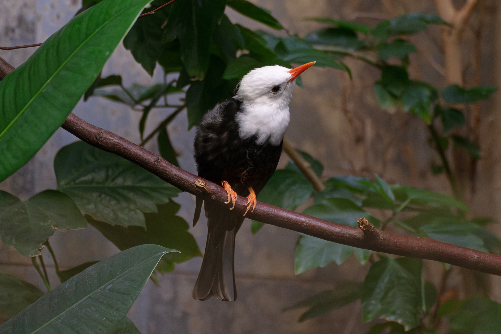 Zoo Wuppertal 