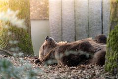 Zoo Wuppertal_06.03.22-03239-Bearbeitet Kopie