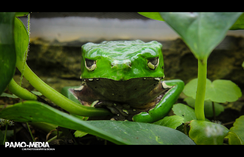 Zoo Zojac Duisburg 3