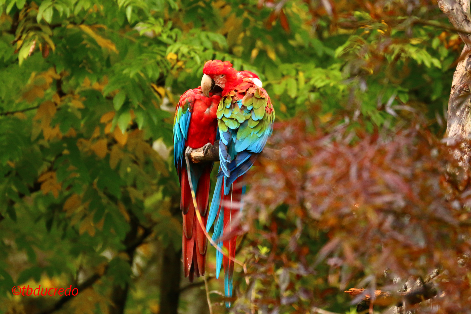 Zoo Zürich 16