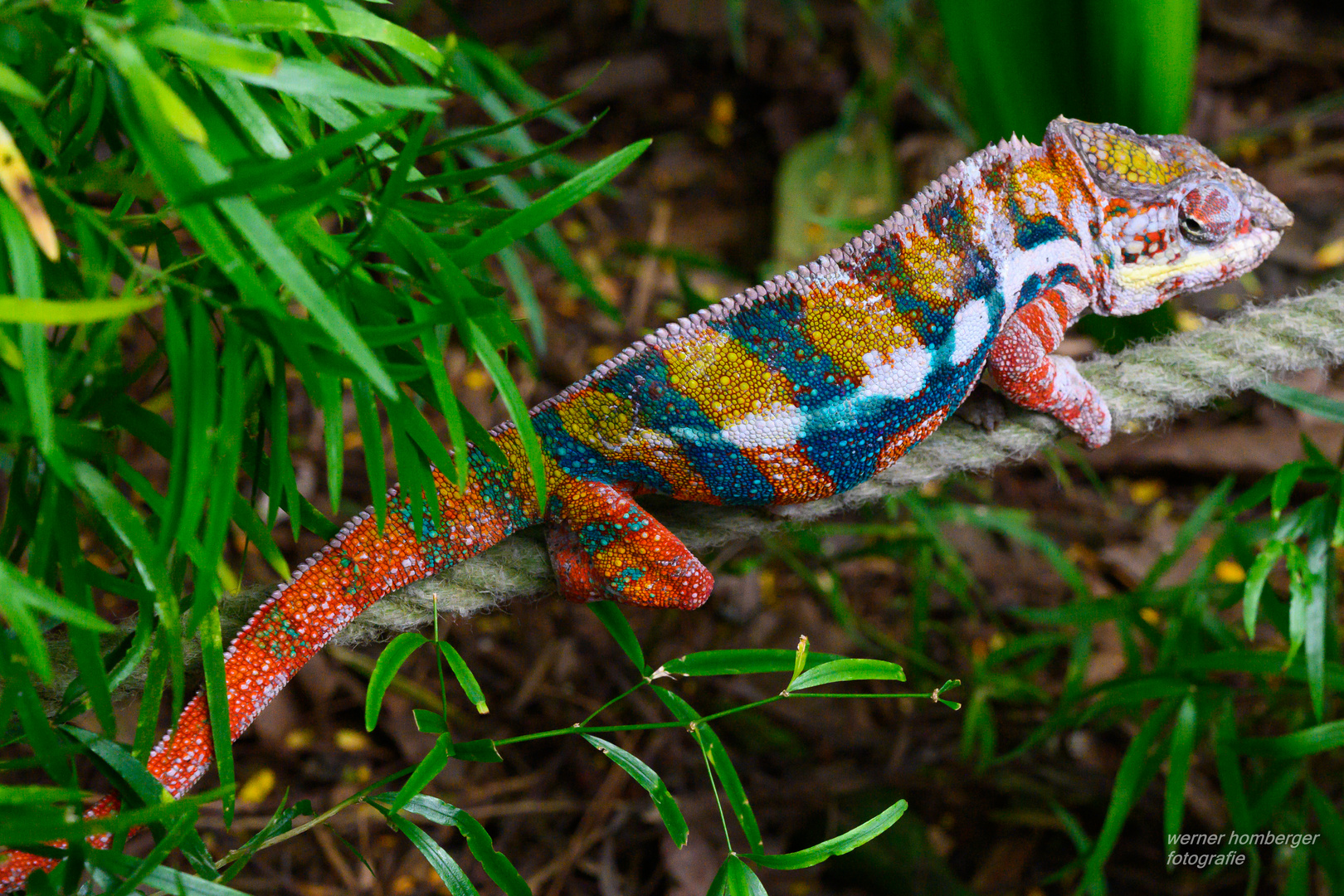 Zoo Zürich Madagaskar Halle