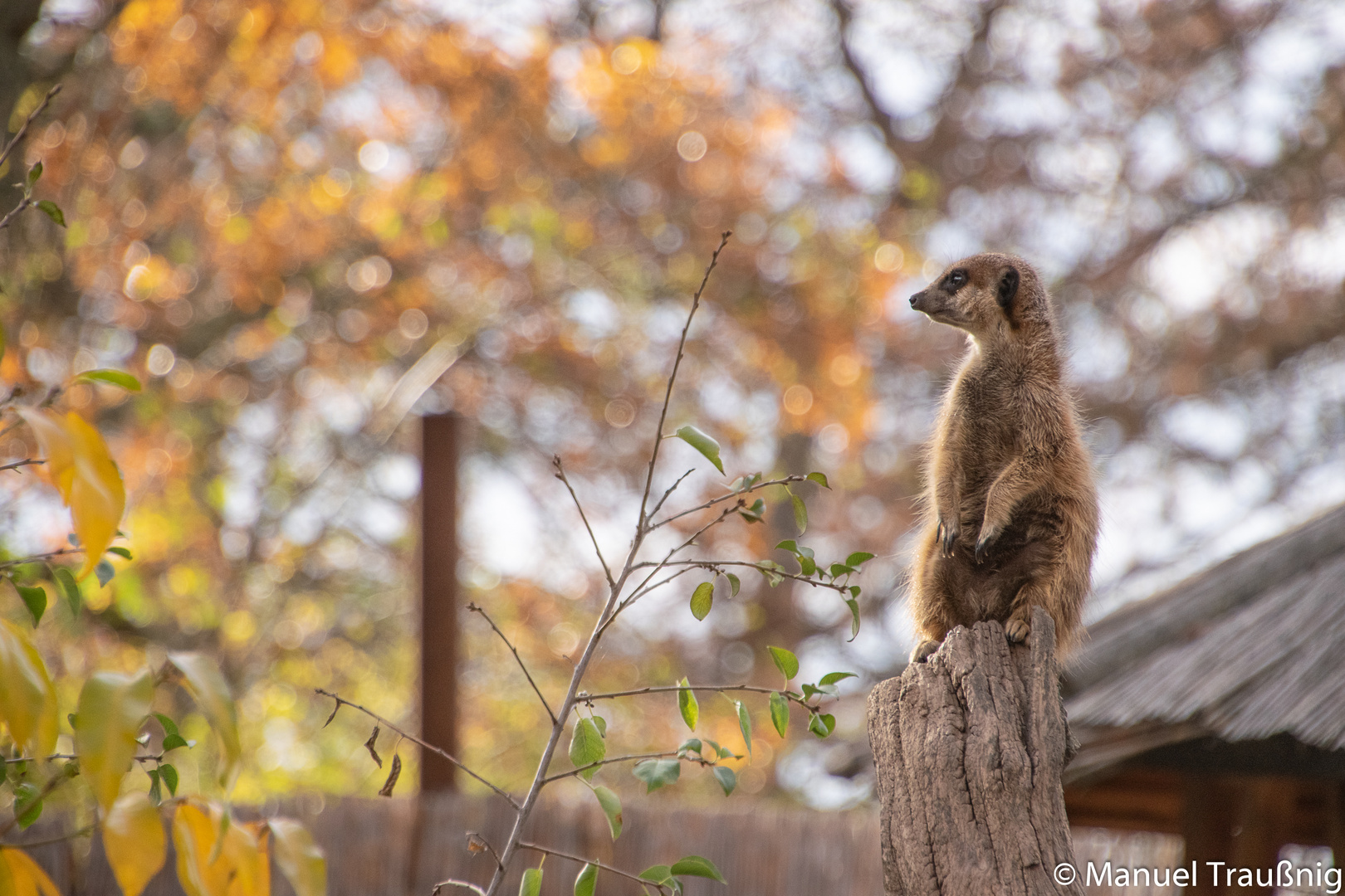 Zoo_Aschersleben