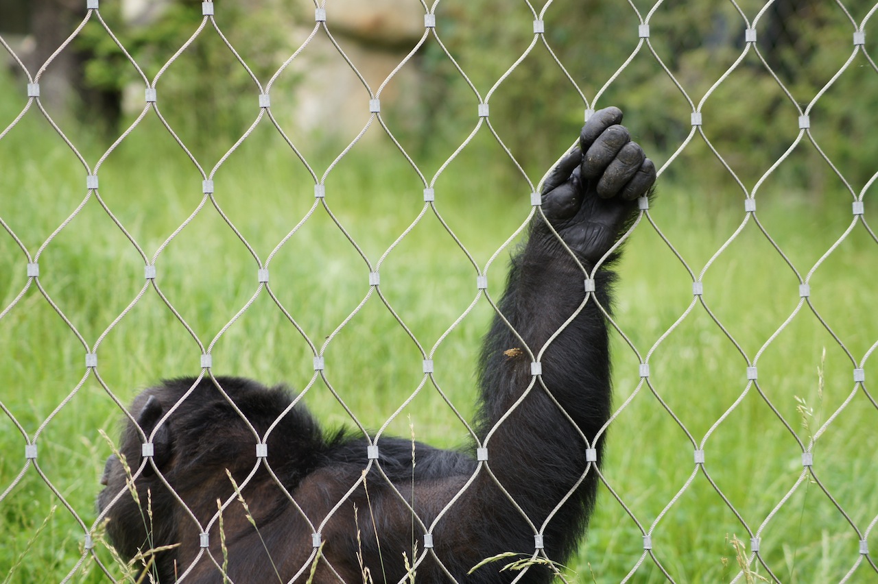 Zoobesuch