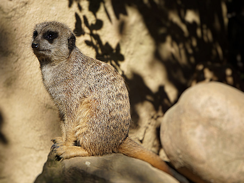 Zoobesuch