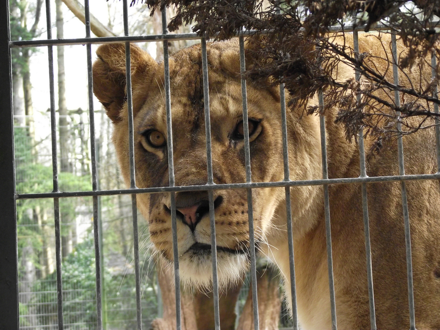 Zoobesuch