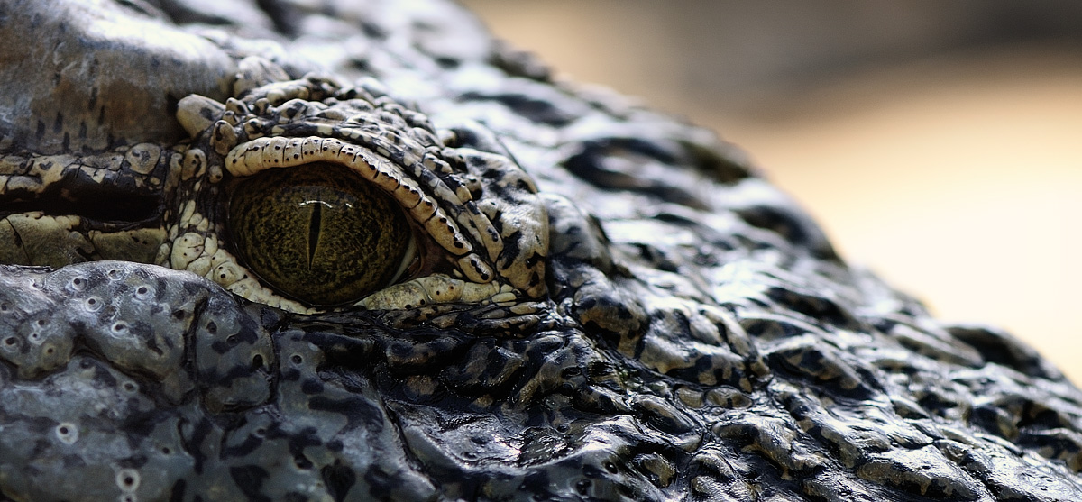 Zoobesuch