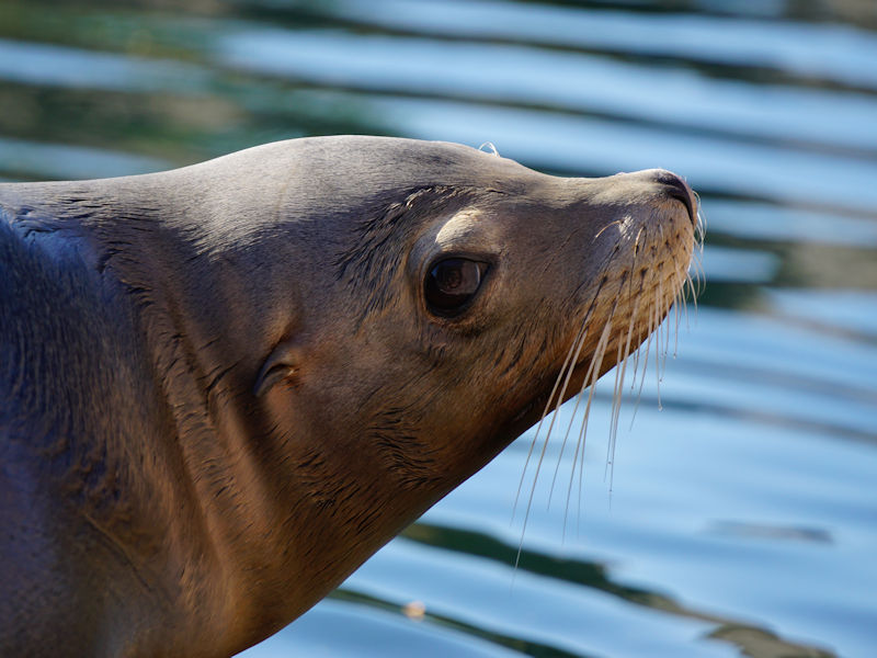 Zoobesuch