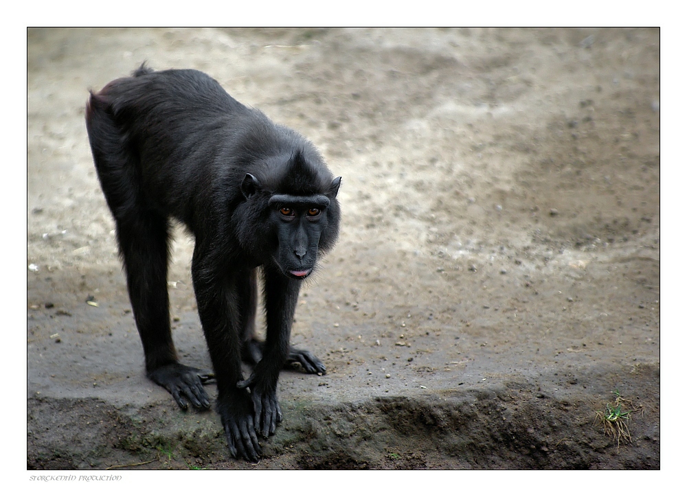 Zoobesuch