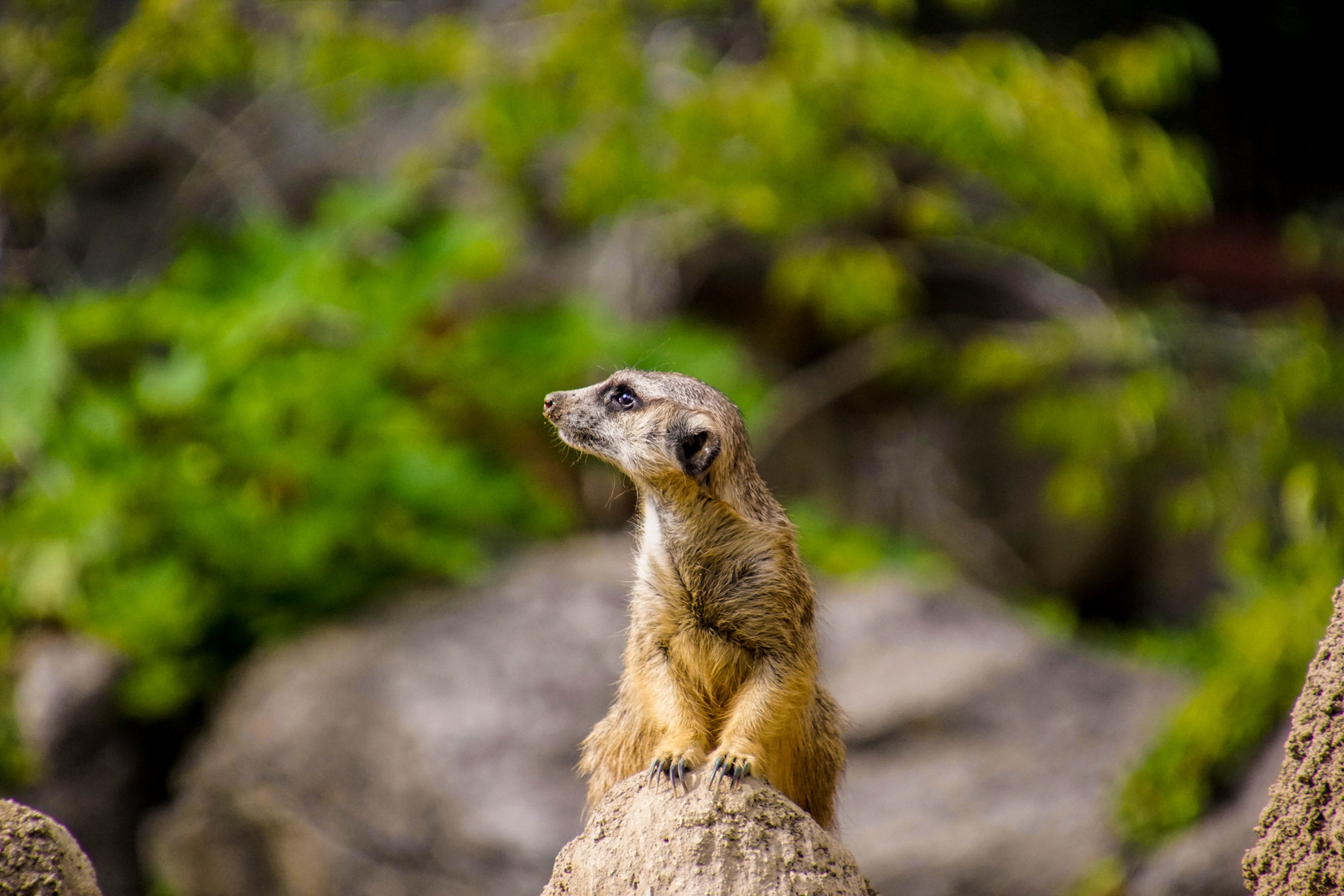 Zoobesuch Berlin