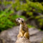 Zoobesuch Berlin