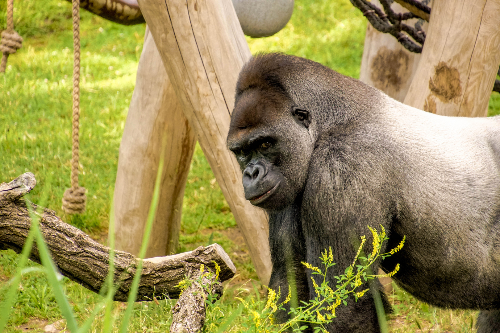 Zoobesuch Berlin