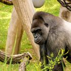 Zoobesuch Berlin