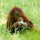 Zoobesuch Berlin