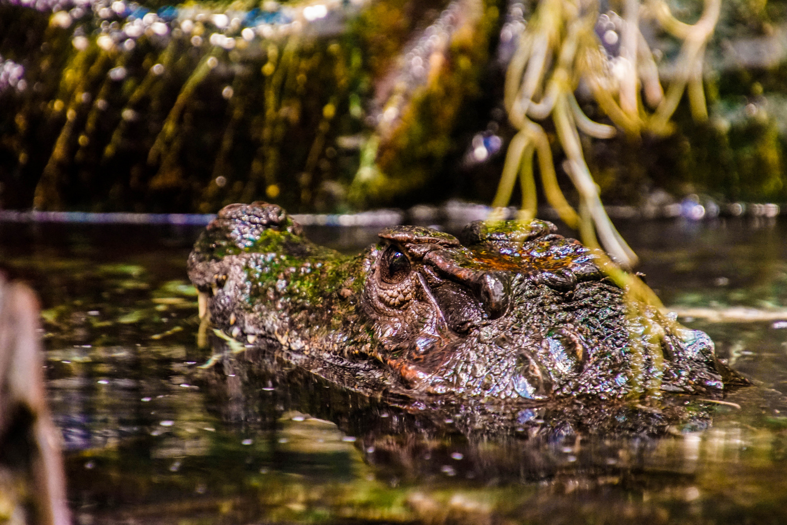 Zoobesuch Berlin