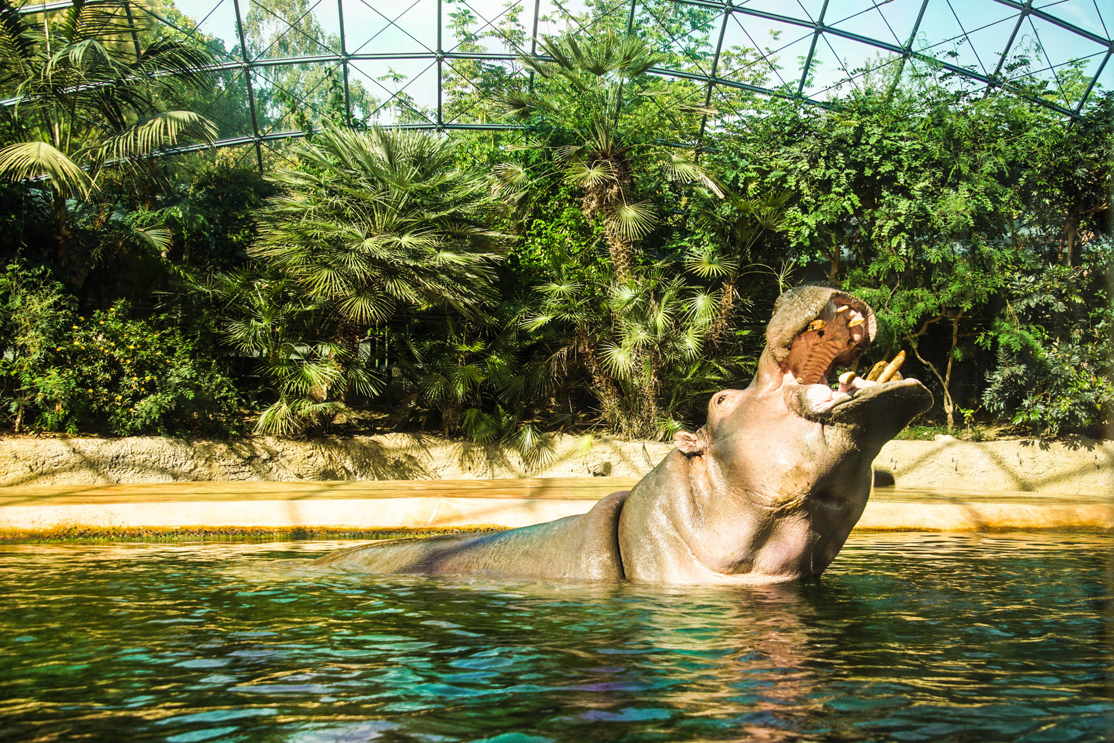 Zoobesuch Berlin