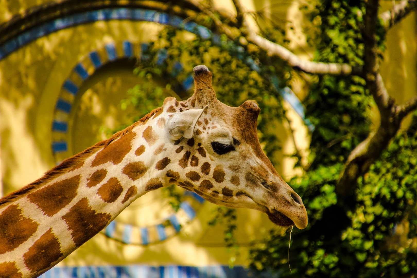 Zoobesuch Berlin