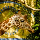 Zoobesuch Berlin