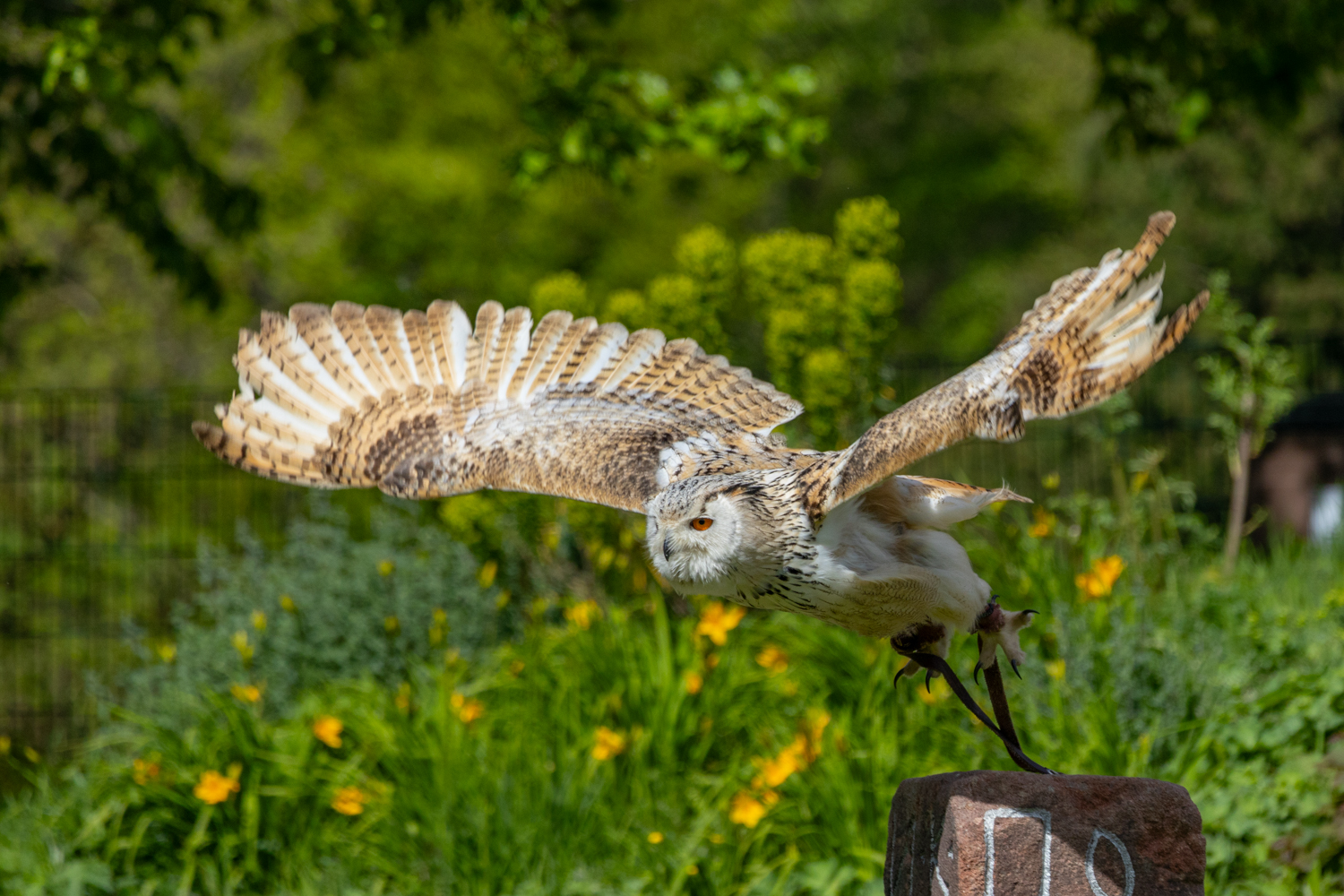 Zoobesuch