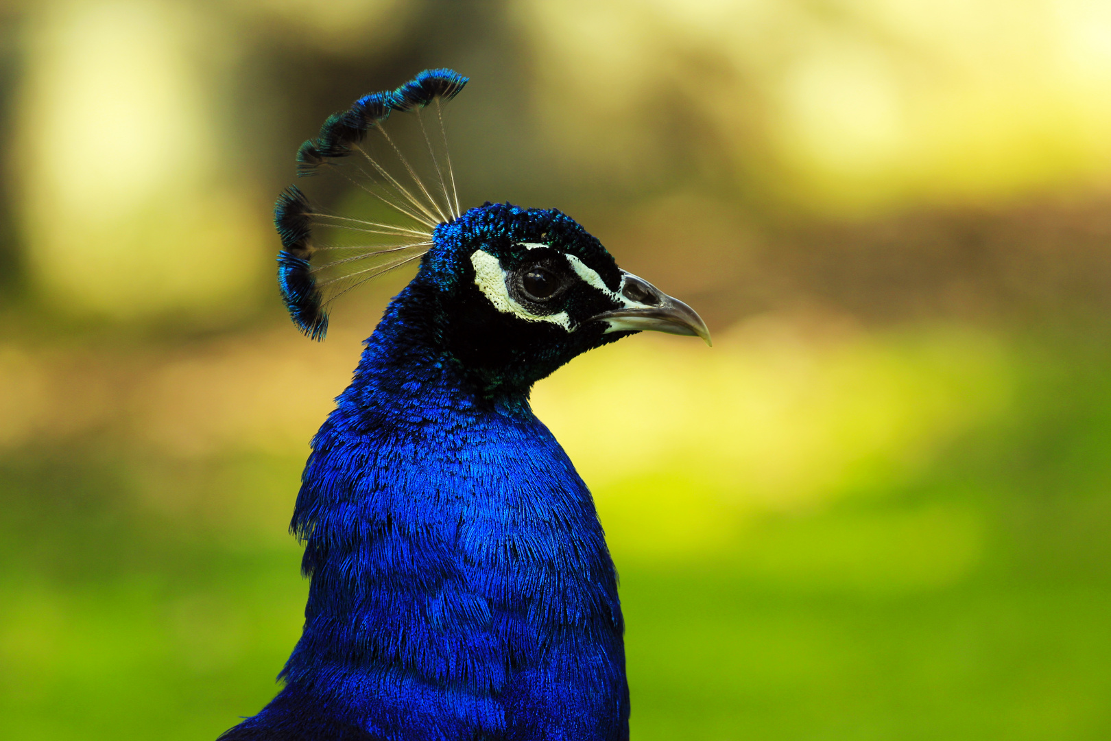 Zoobesuch in Auckland