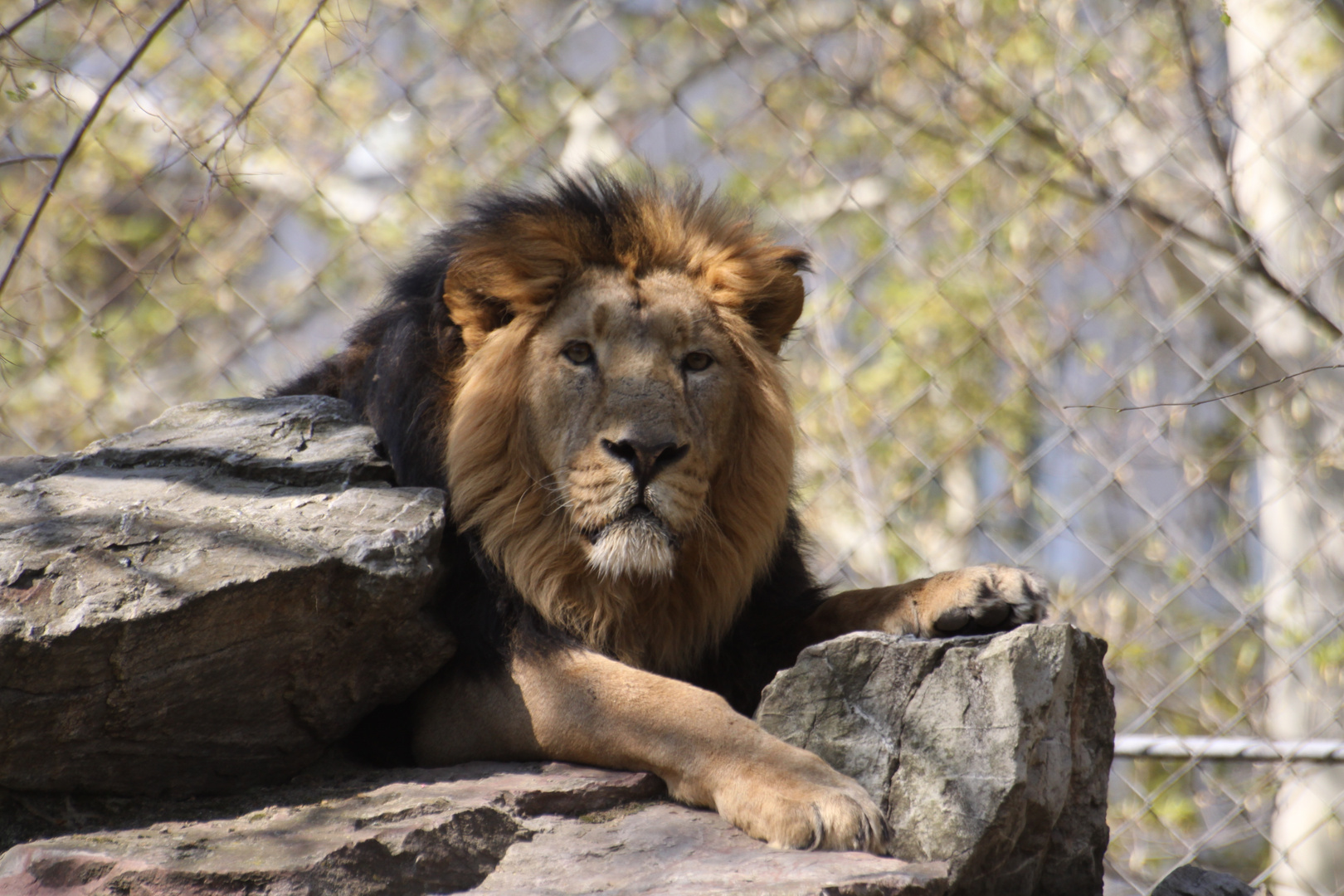 Zoobesuch in Frankfurt