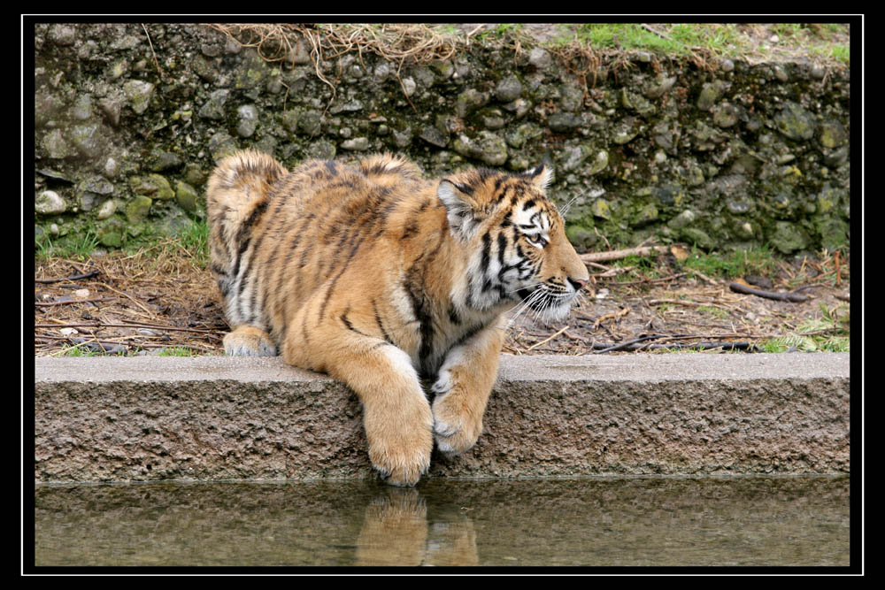 Zoobesuch in München 2