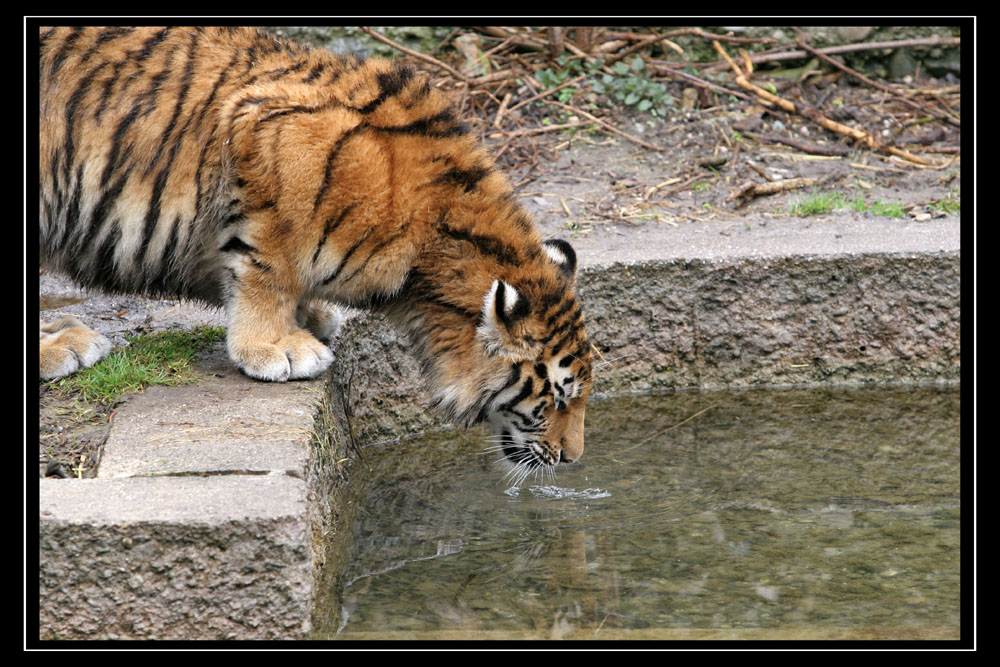 Zoobesuch in München