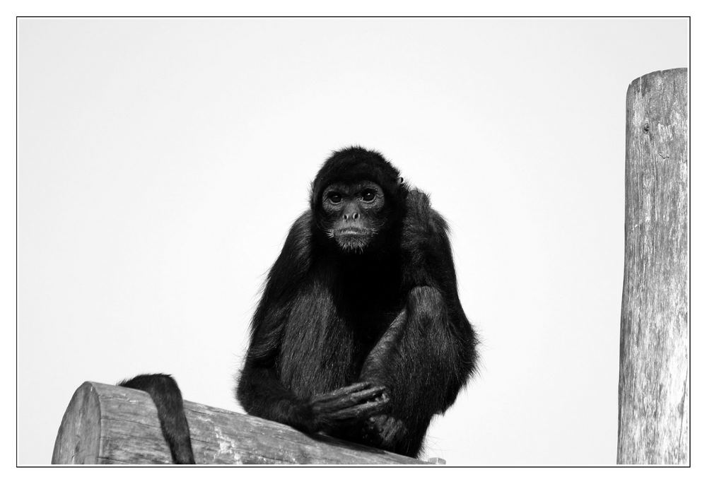 Zoobesuch in Osnabrück