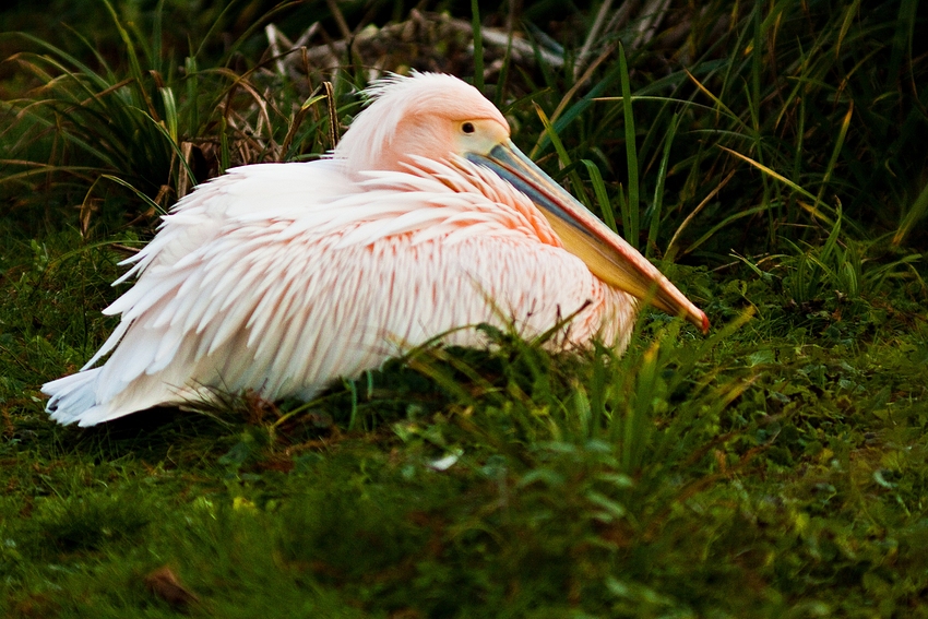 Zoobesuch Köln