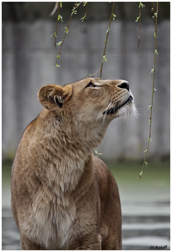 Zoobesuch Münster