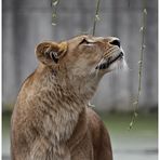 Zoobesuch Münster