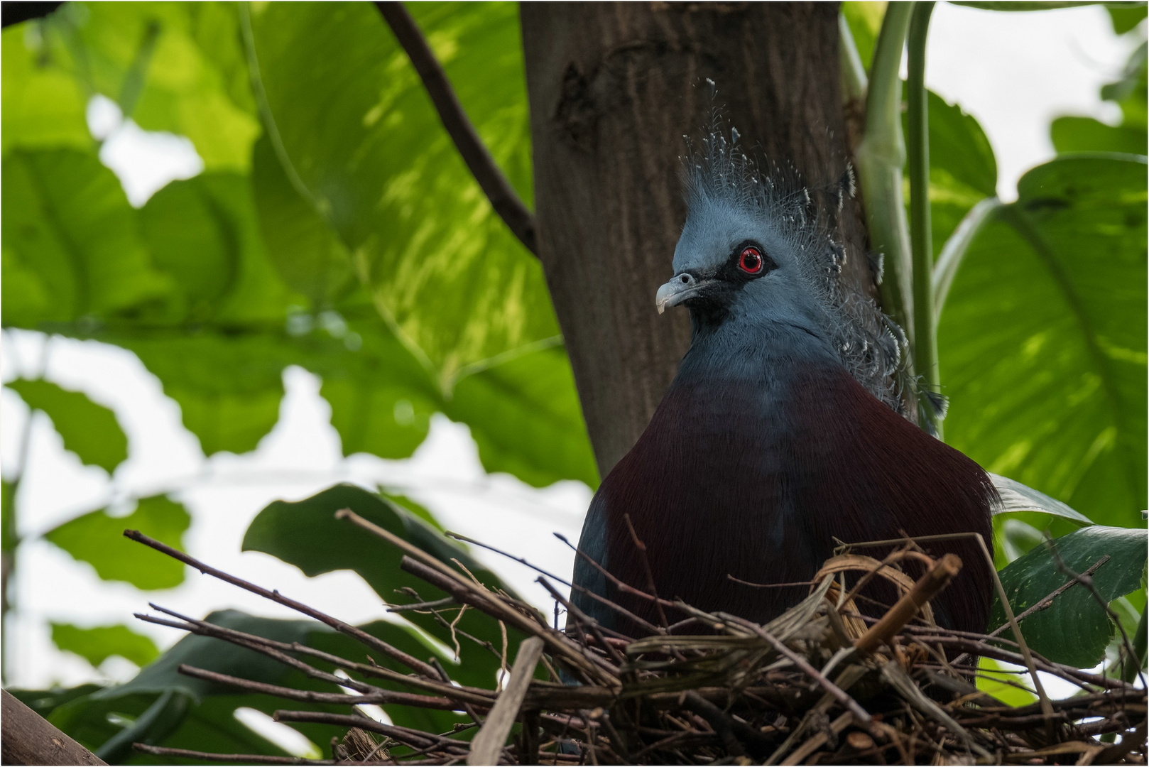 Zoobesuch_01