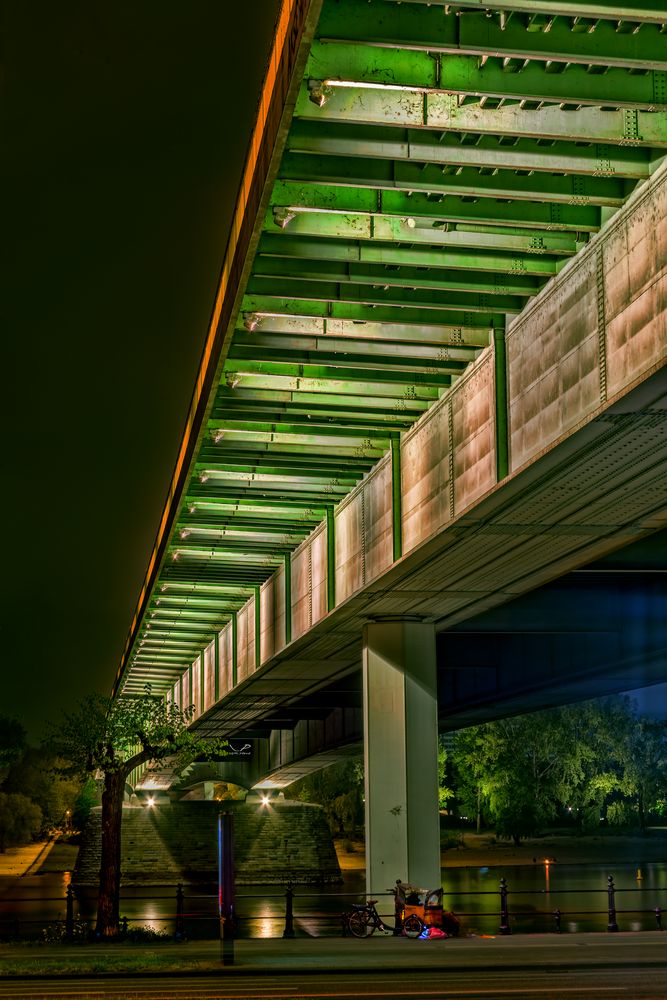 Zoobrücke bei Nacht