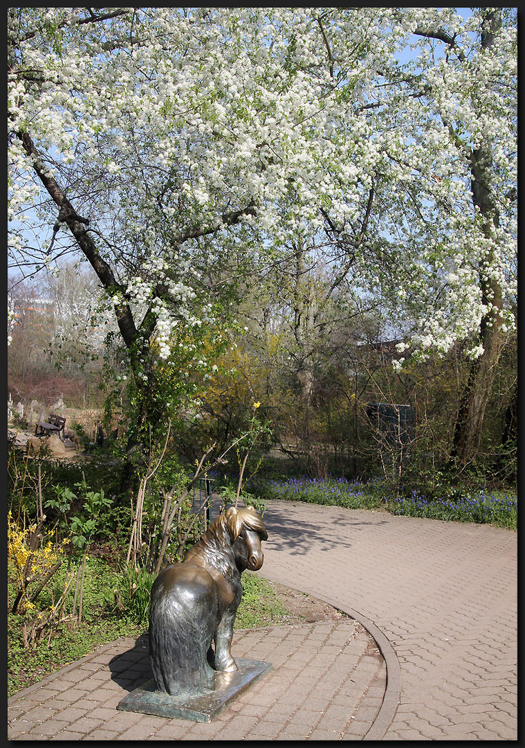 ...ZooFrühling...