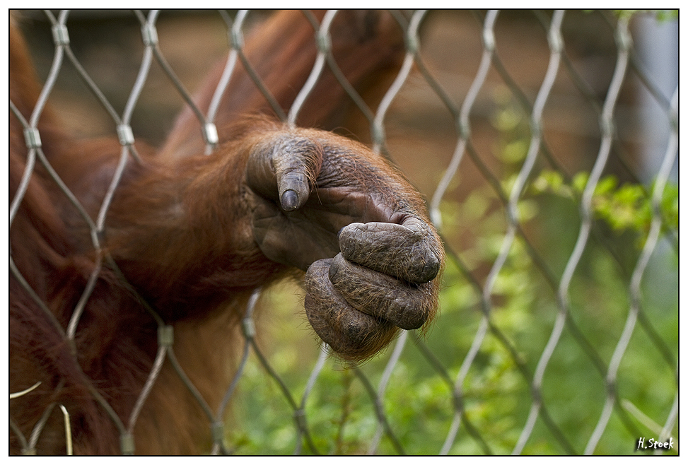 Zooimpressionen