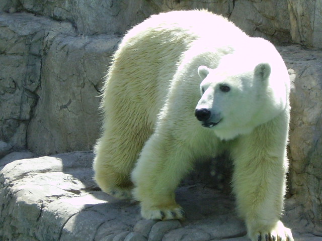 Zoologico Ciudad de México