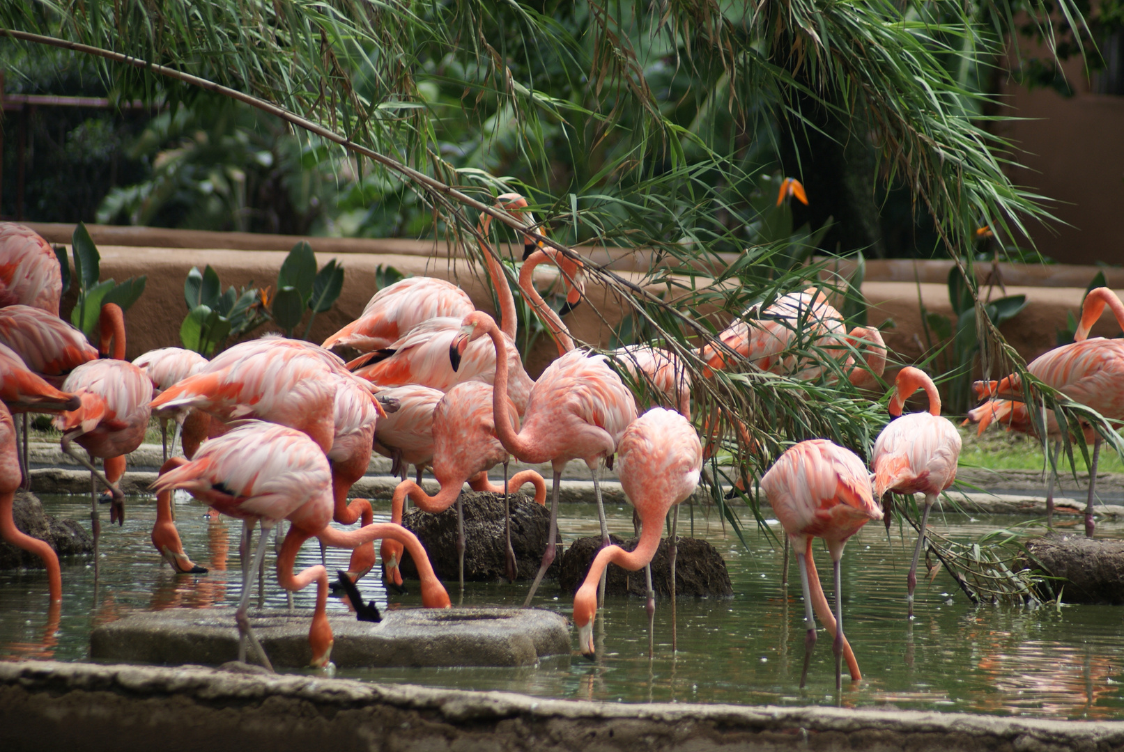 ZOOLOGICO GUADALAJARA MEXICO