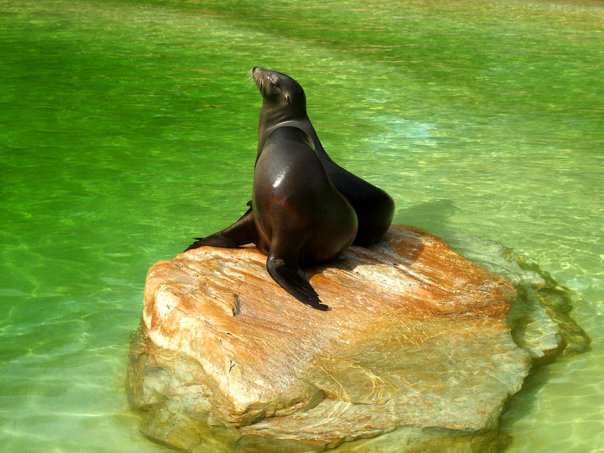 Zoologischer, Berlin, Germany, 2009