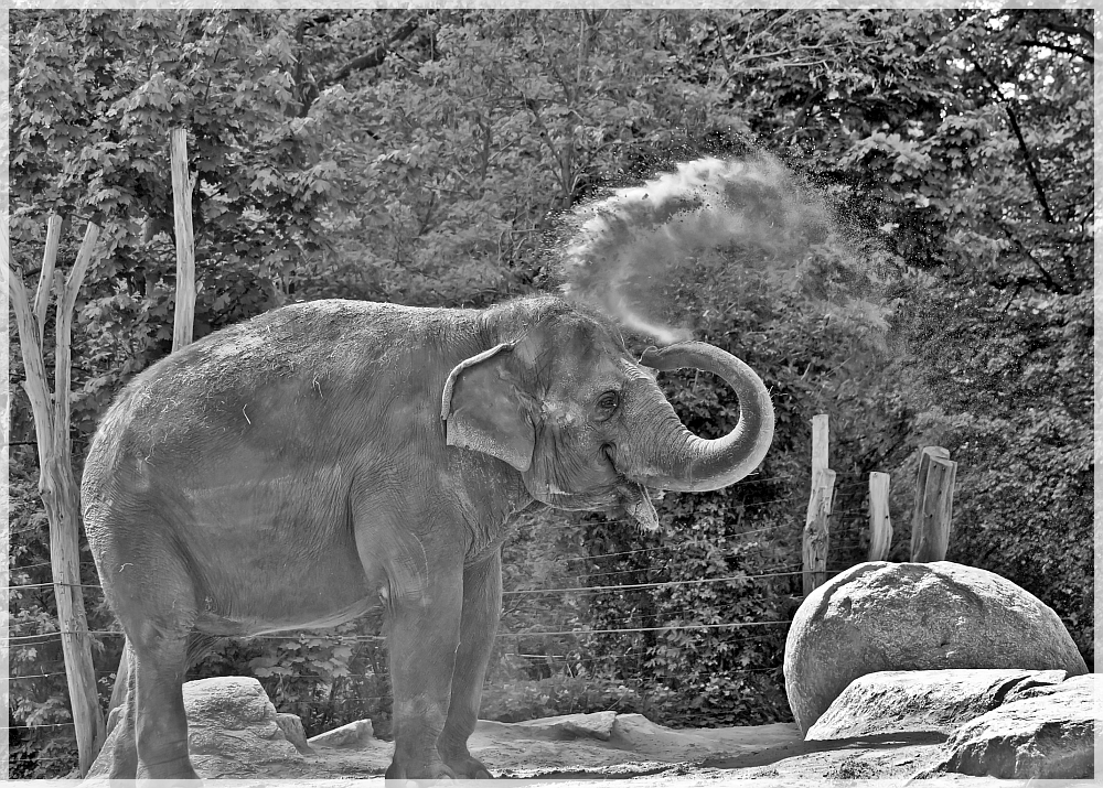 Zoologischer Garten Berlin