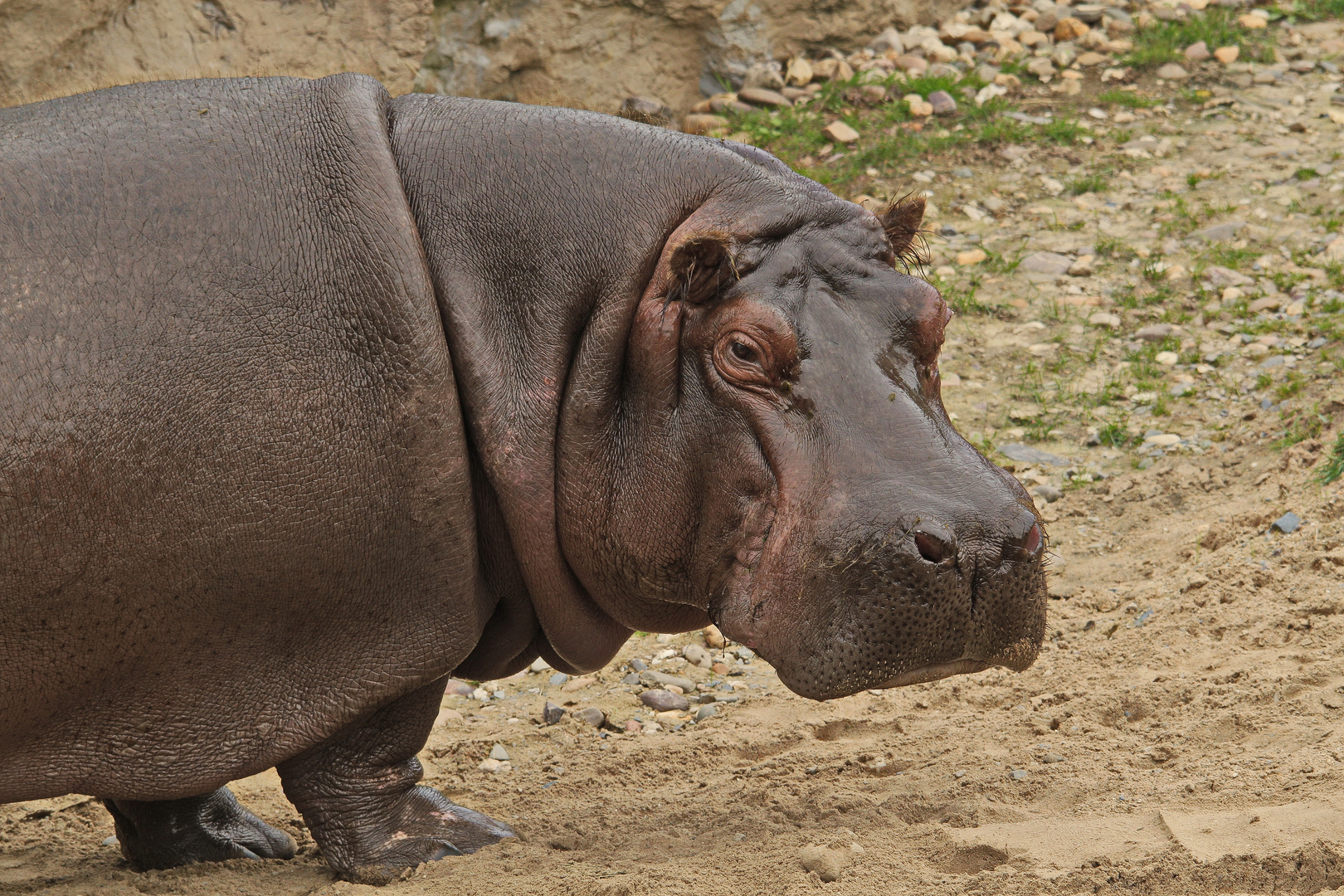 ZOOM Erlebniswelt