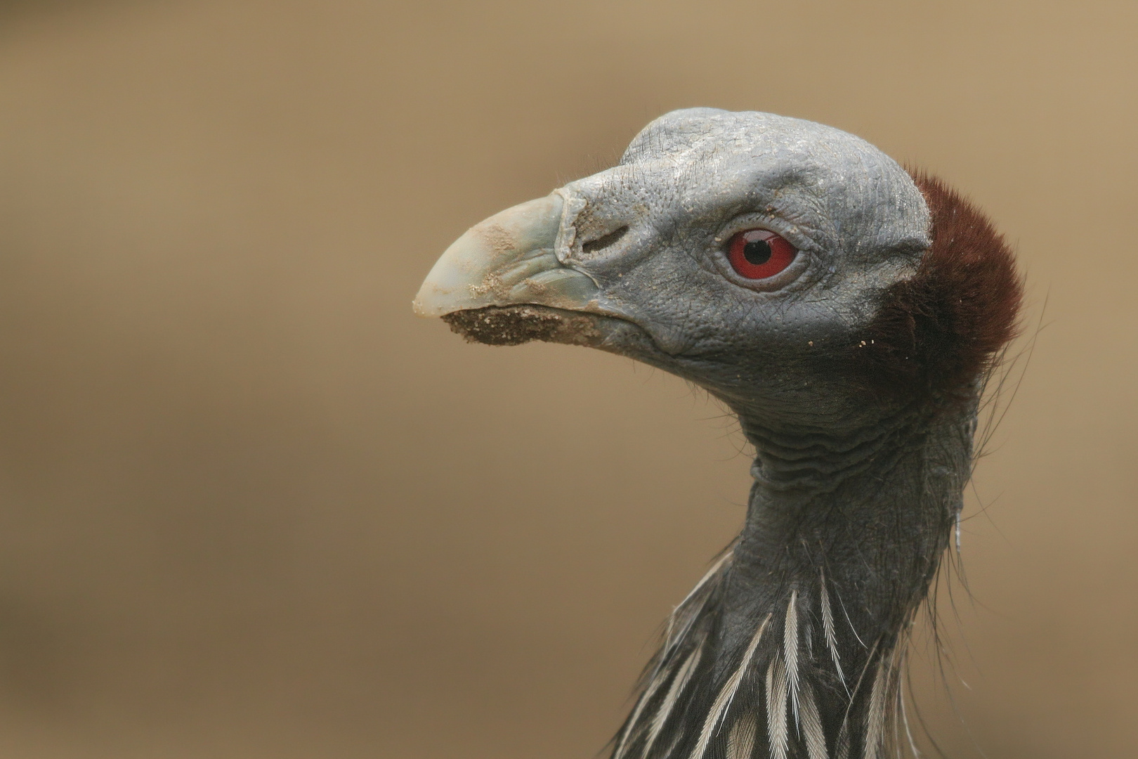 Zoom Erlebniswelt